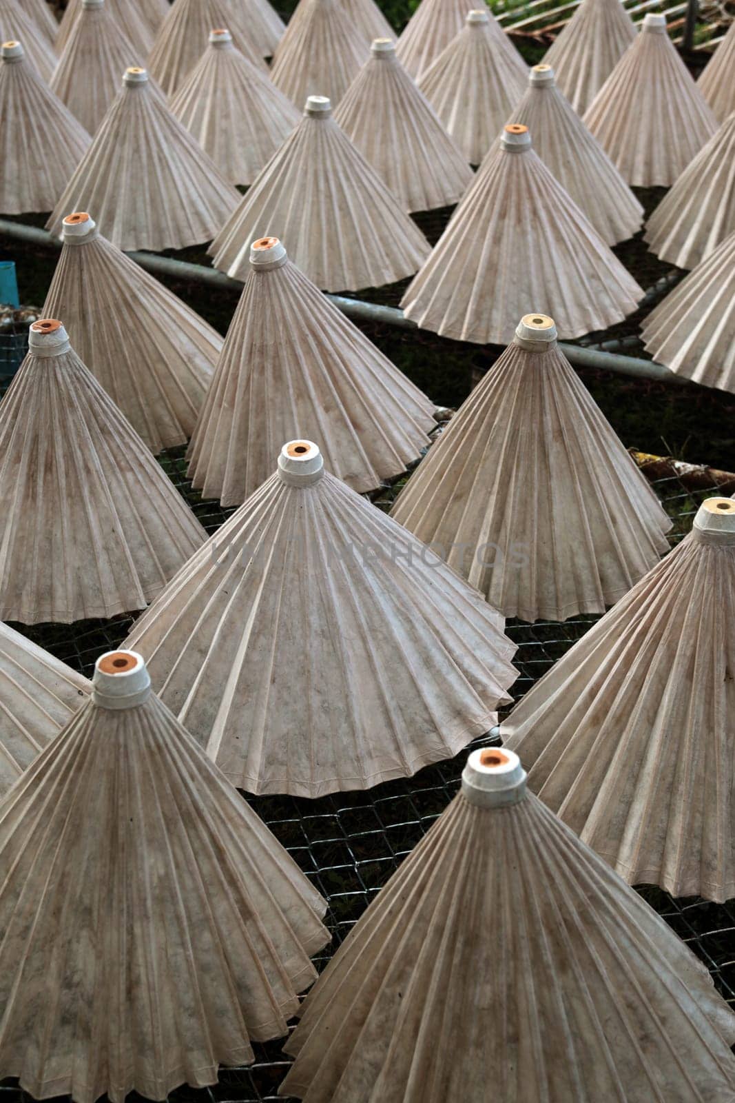 The traditional paper screen production in Chiang Mai in the north of Thailand