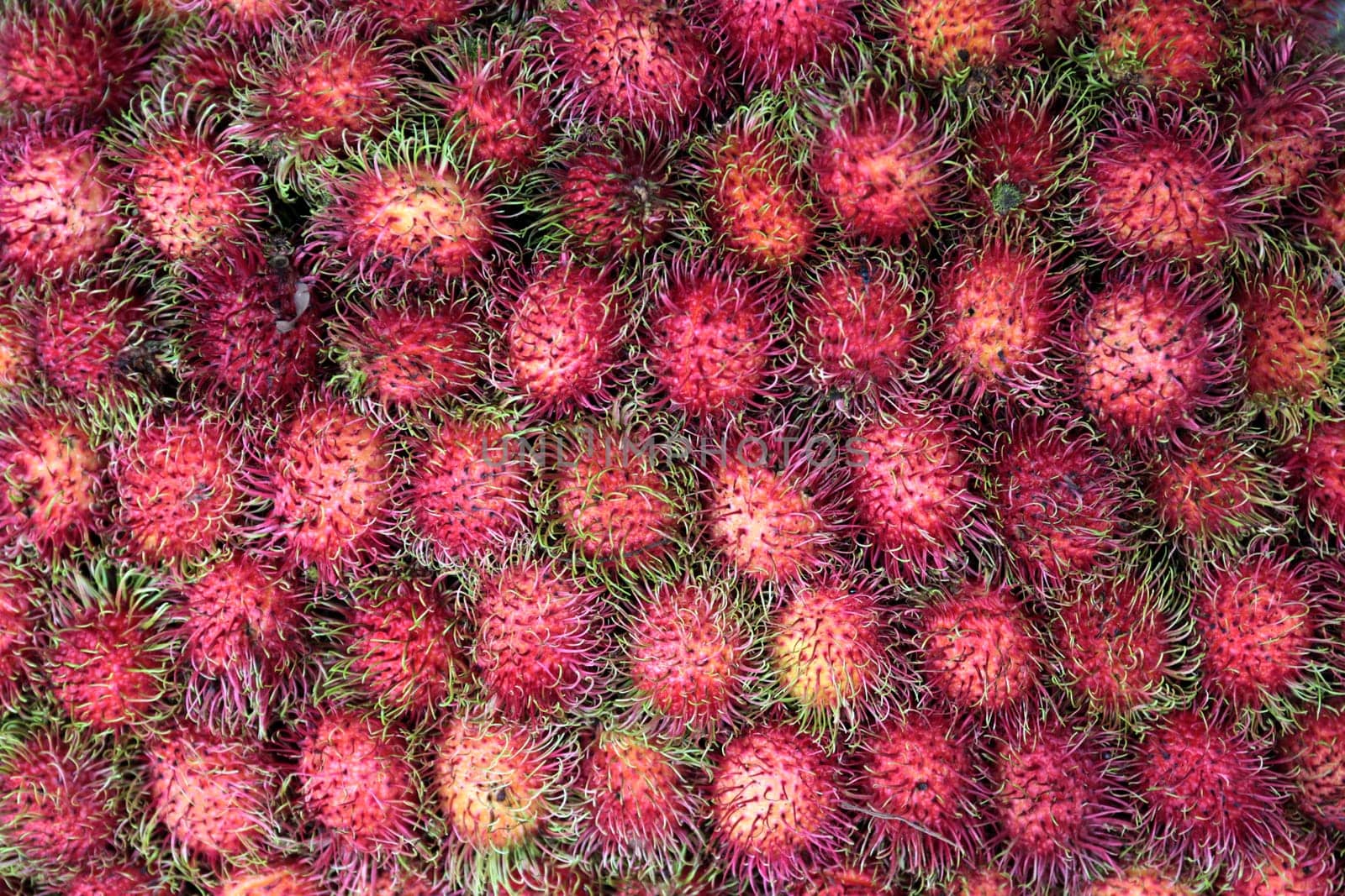 People at the Great Food Market of Talat Warorot in Chiang Mai in northern Thailand.