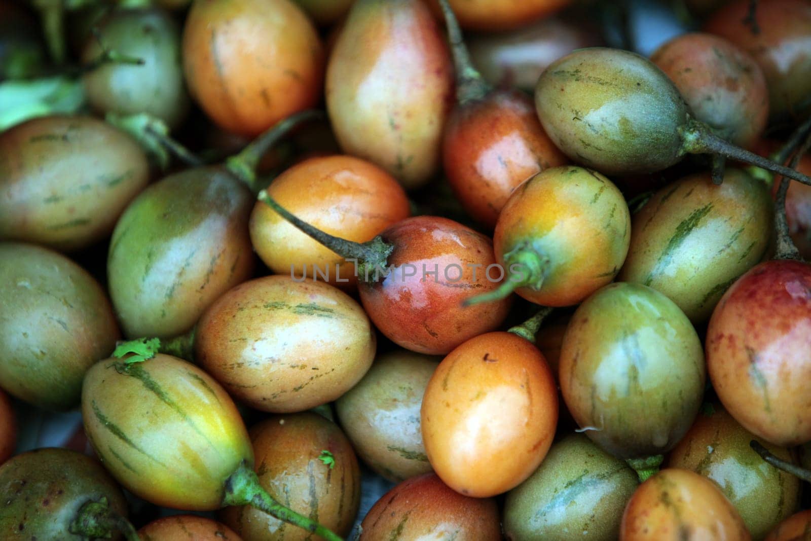 The weekly market at Dof Chiang Dao in Chiang Mai in northern Thailand.