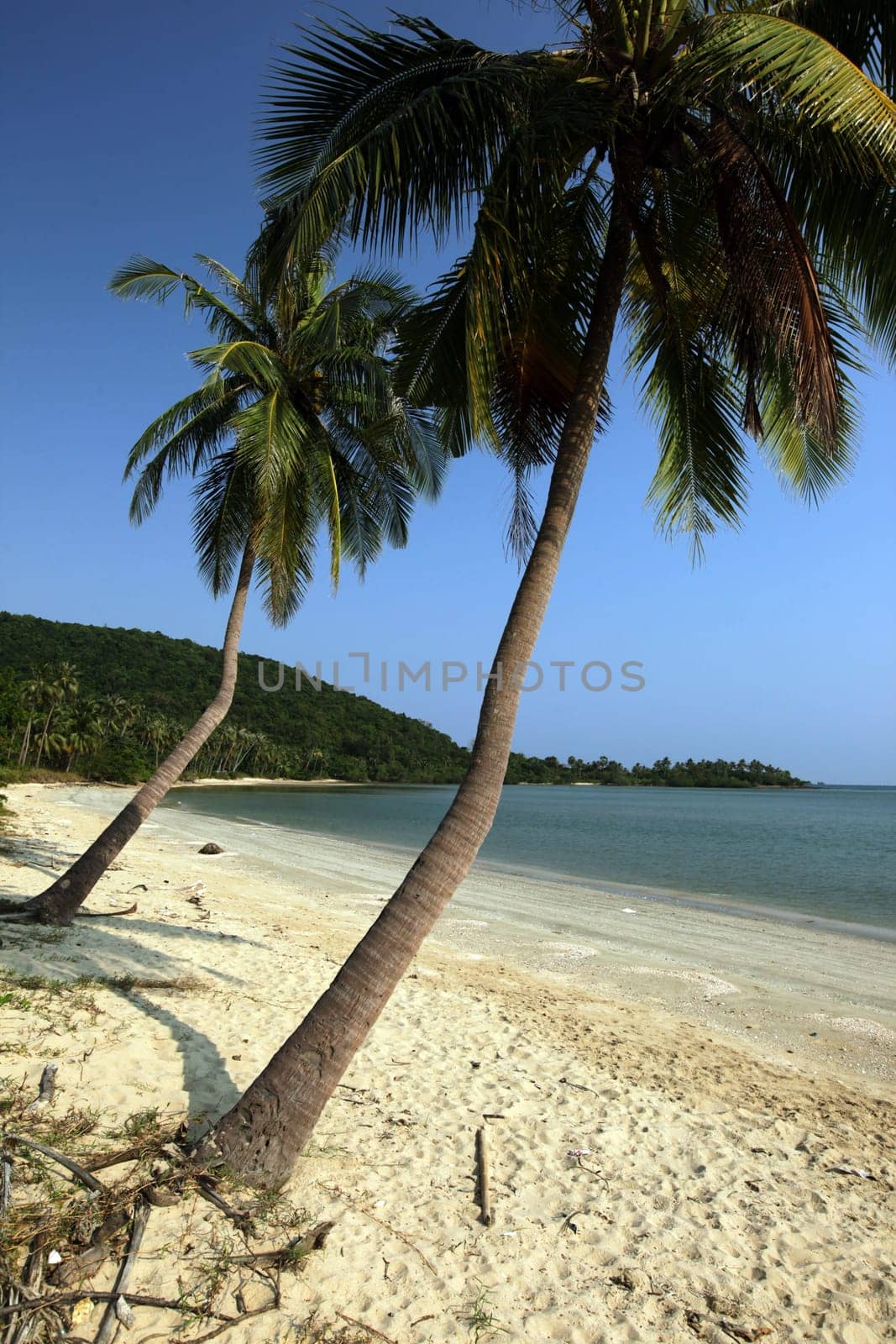 A beach at Chumphon at the ship station for the onward journey to the island of To Tao in the Gulf of Thailand in the south-west of Thailand in South East Asia.