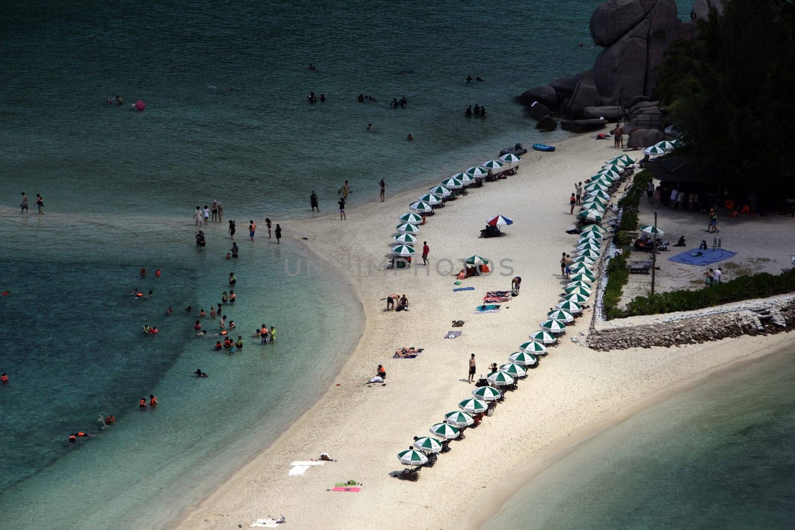 The beach and island landscape on the island of Koh Naang Yuan next to the island of Ko Tao in the Gulf of Thailand in the south western of Thailand in South East Asia.
