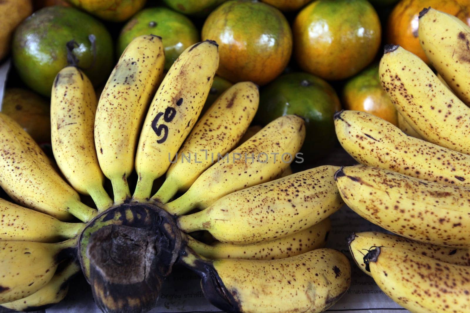 Banana fruit on the island of Ko Tao in the Gulf of Thailand in the south-west of Thailand in South East Asia.