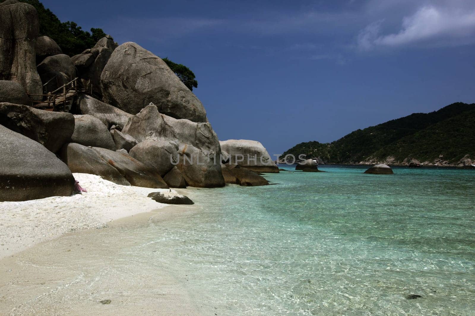 The beach and island landscape on the island of Koh Naang Yuan next to the island of Ko Tao in the Gulf of Thailand in the south western of Thailand in South East Asia.