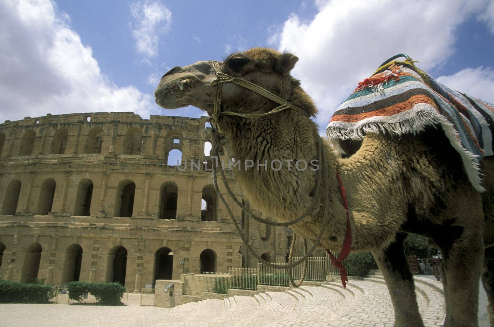 The Colloseum in El Jem in central Tunisia in North Africa.