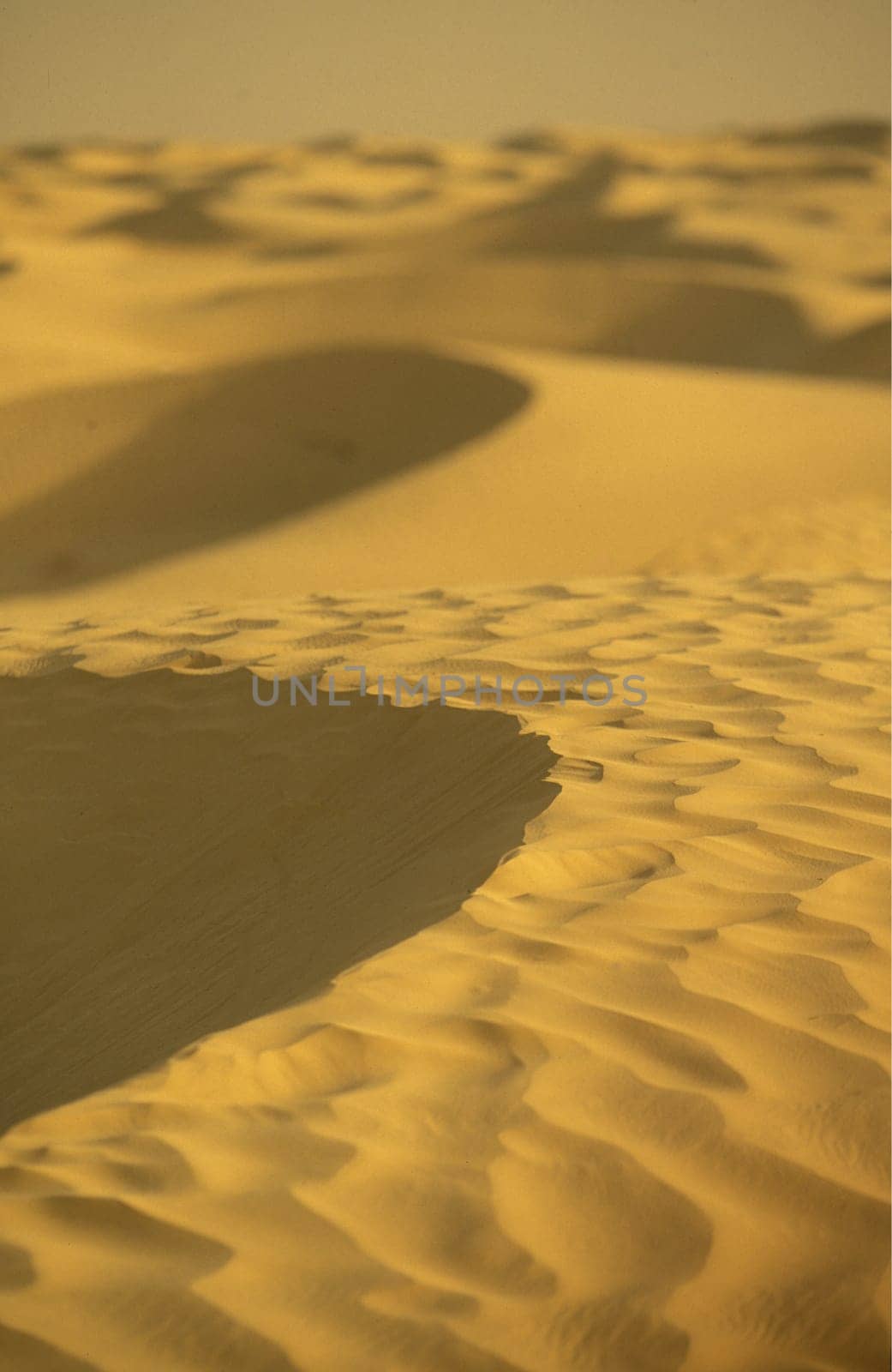 The Sahara Wueste near Douz in the central south in Tunisia in North Africa.
