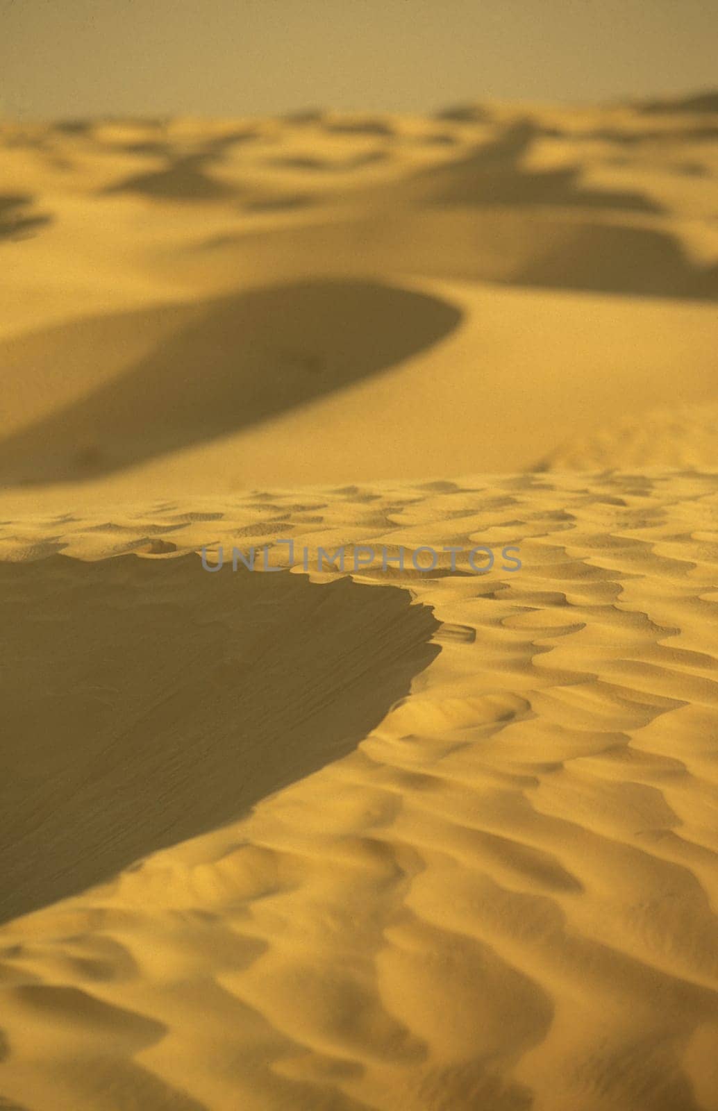 The Sahara Wueste near Douz in the central south in Tunisia in North Africa.