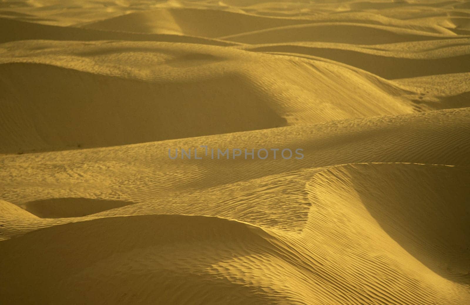The Sahara Wueste near Douz in the central south in Tunisia in North Africa.
