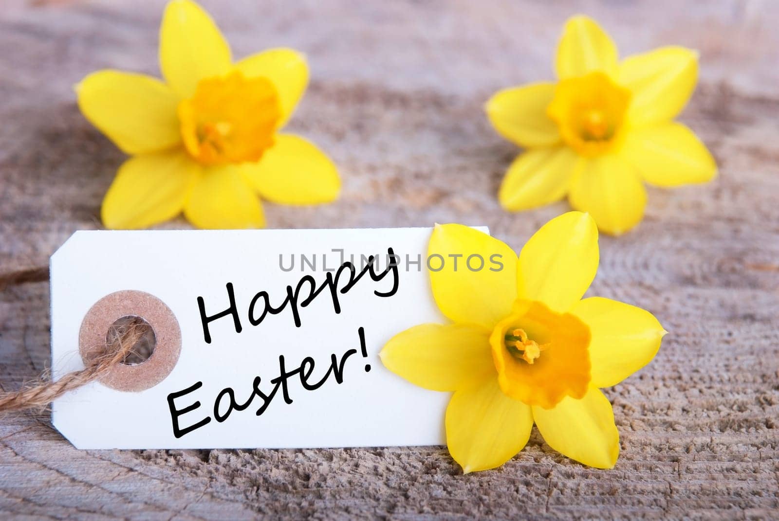 Tag with Happy Easter and Narcisse Flowers, Easter Background