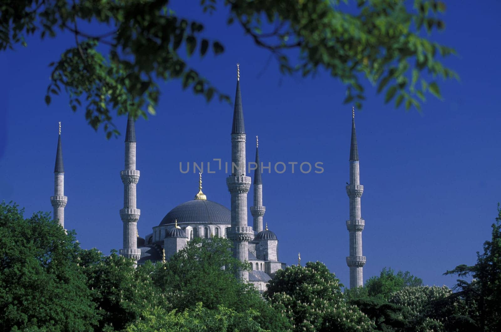 The Blue Mosque in the Sulranahmet district of Istanbul in the Tuerkey.