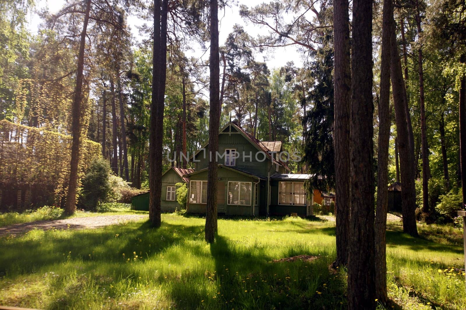 EUROPE,EASTERN EUROPE,BALTIKUM,LATVIA,OSTSEE,JURMALA,HOLZHAUS,WALD