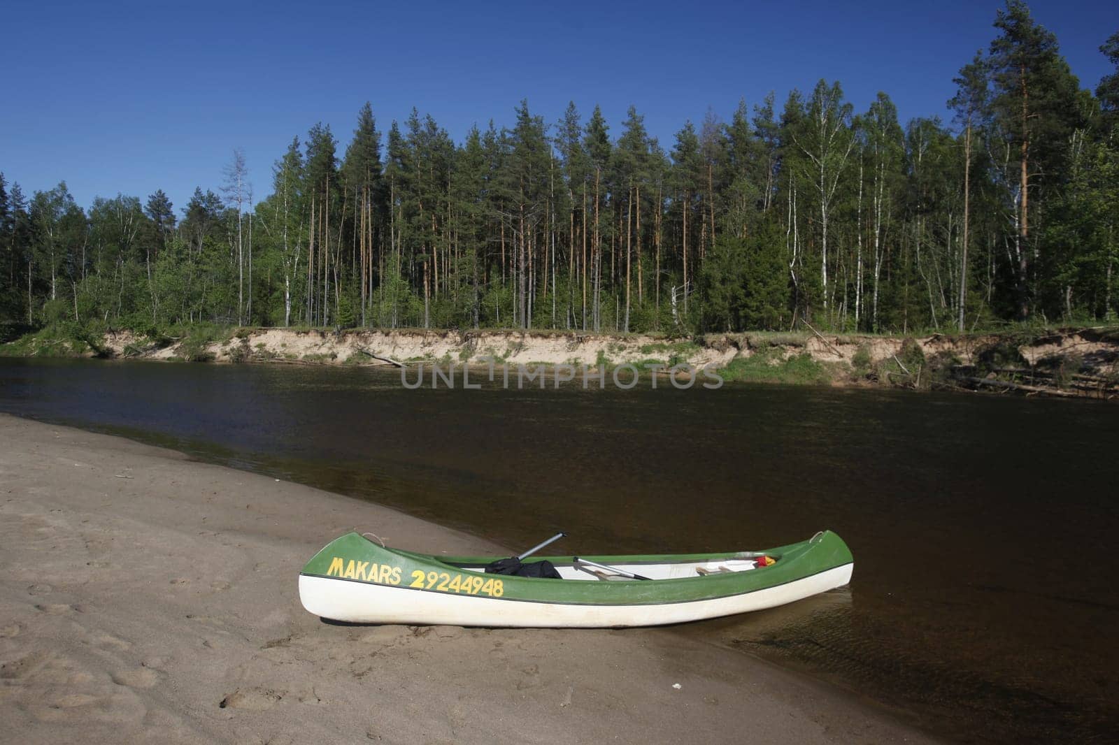 Canoeing on the river Gauja in Sigulad oestlich from Riga the capital of Latvia in the Baltics in Eastern Europe.