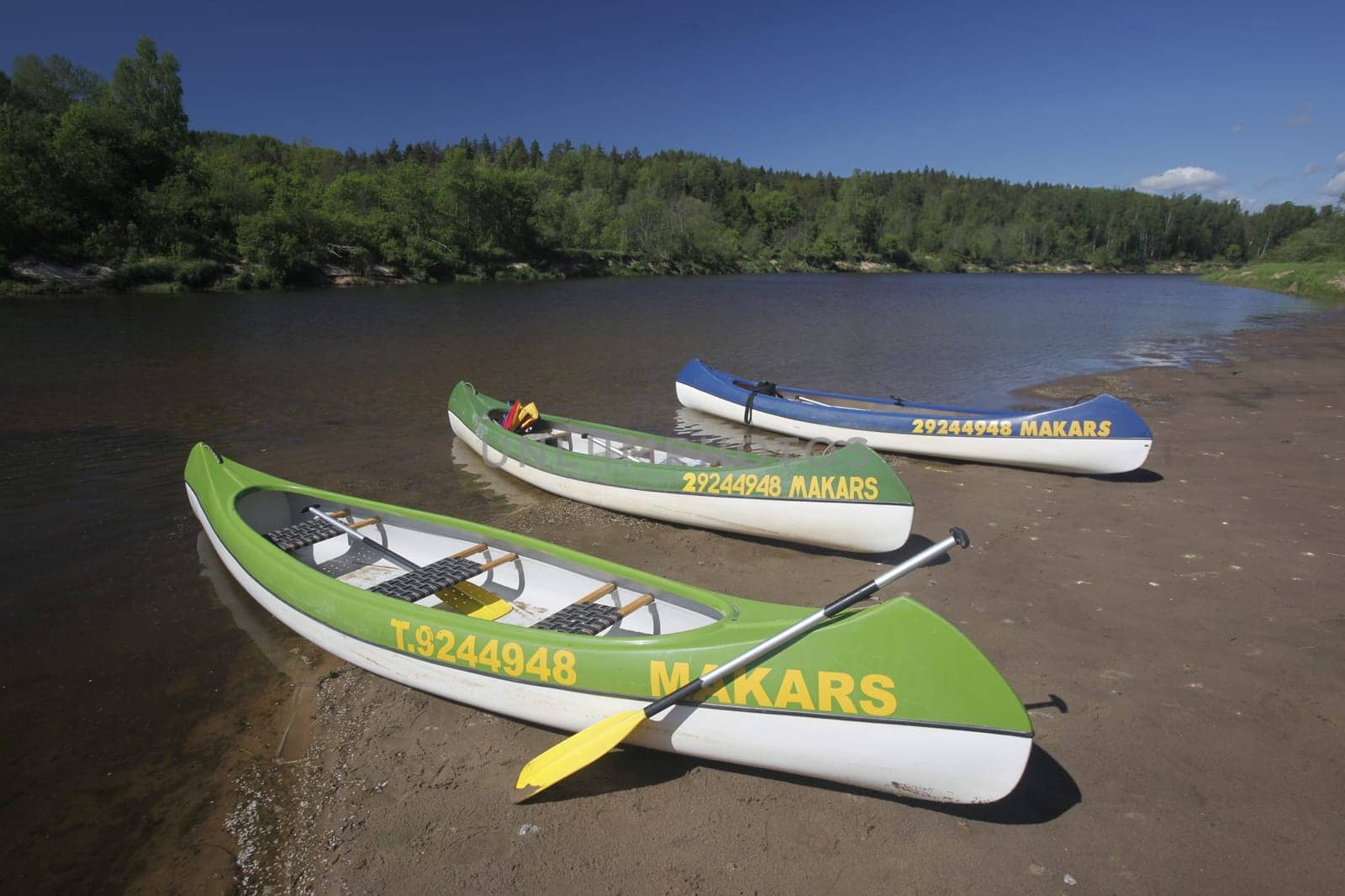 Canoeing on the river Gauja in Sigulad oestlich from Riga the capital of Latvia in the Baltics in Eastern Europe.