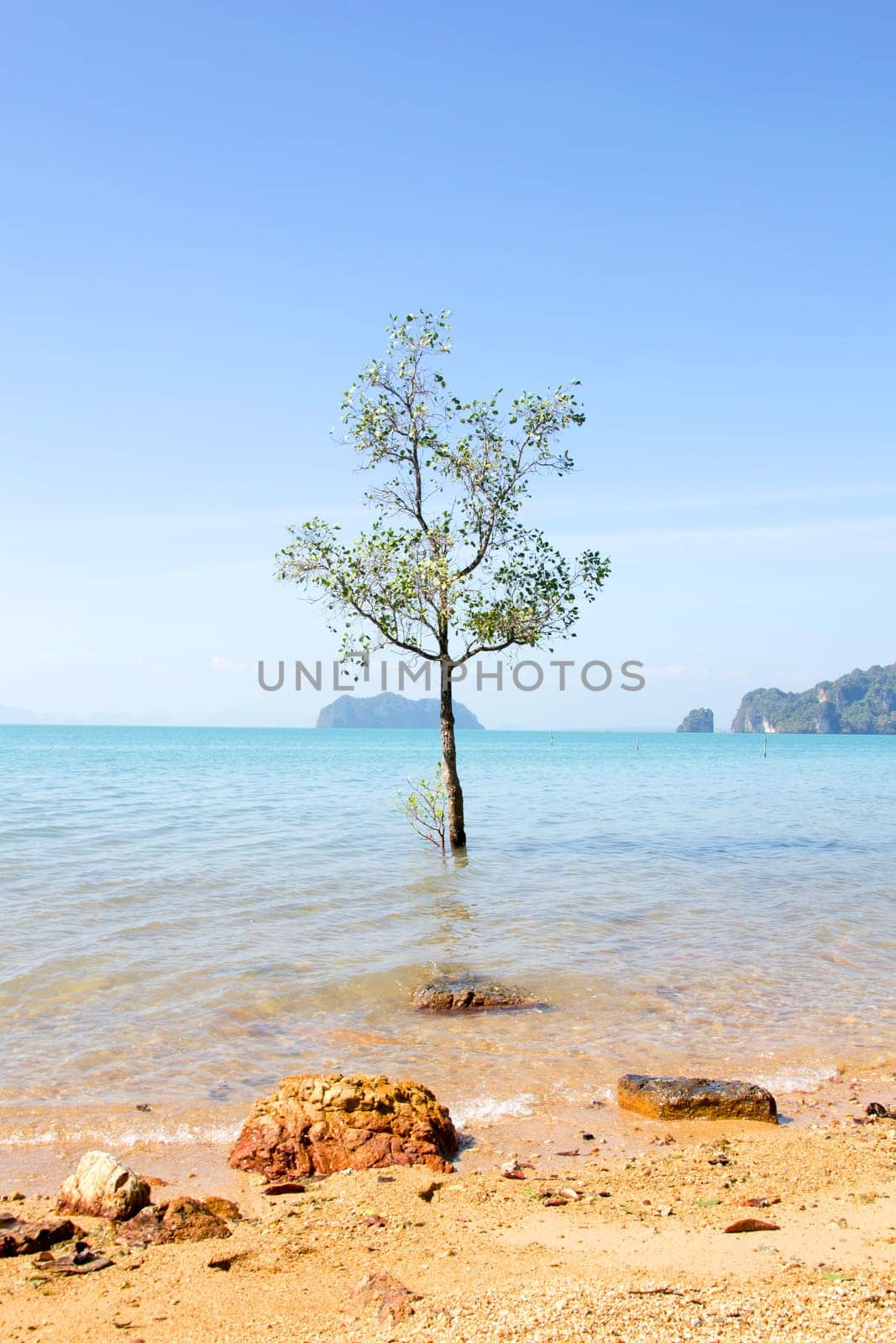 Thailand