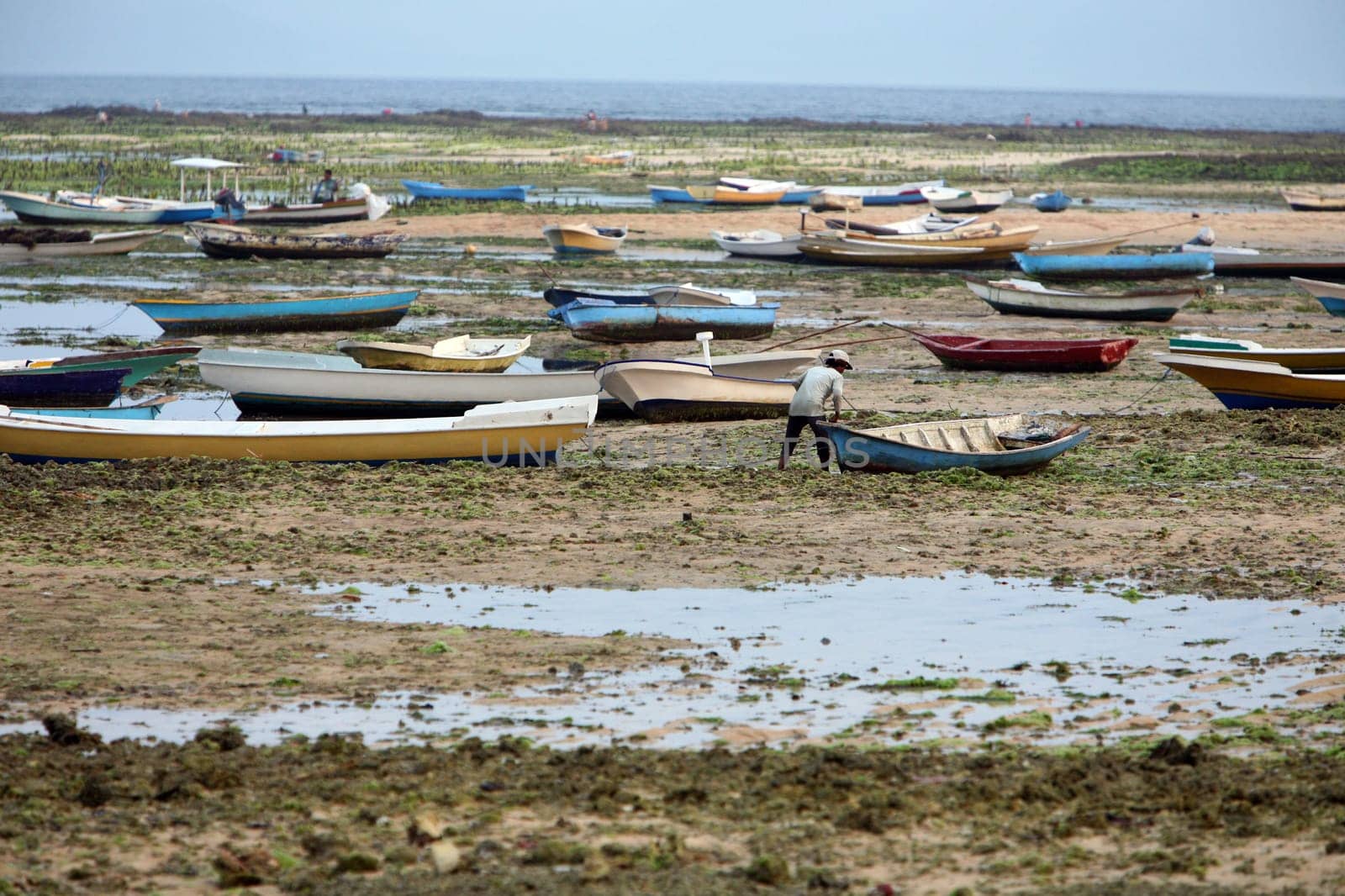 Asia,South East,Indonesia,Bali,Island,Nusa Lembongan,Landscape,Nature,Sea,Coast,Boat,Everyday,Economy,Seagrass,Plantation,Raw Material,Eppe,(Urs Flueeler)