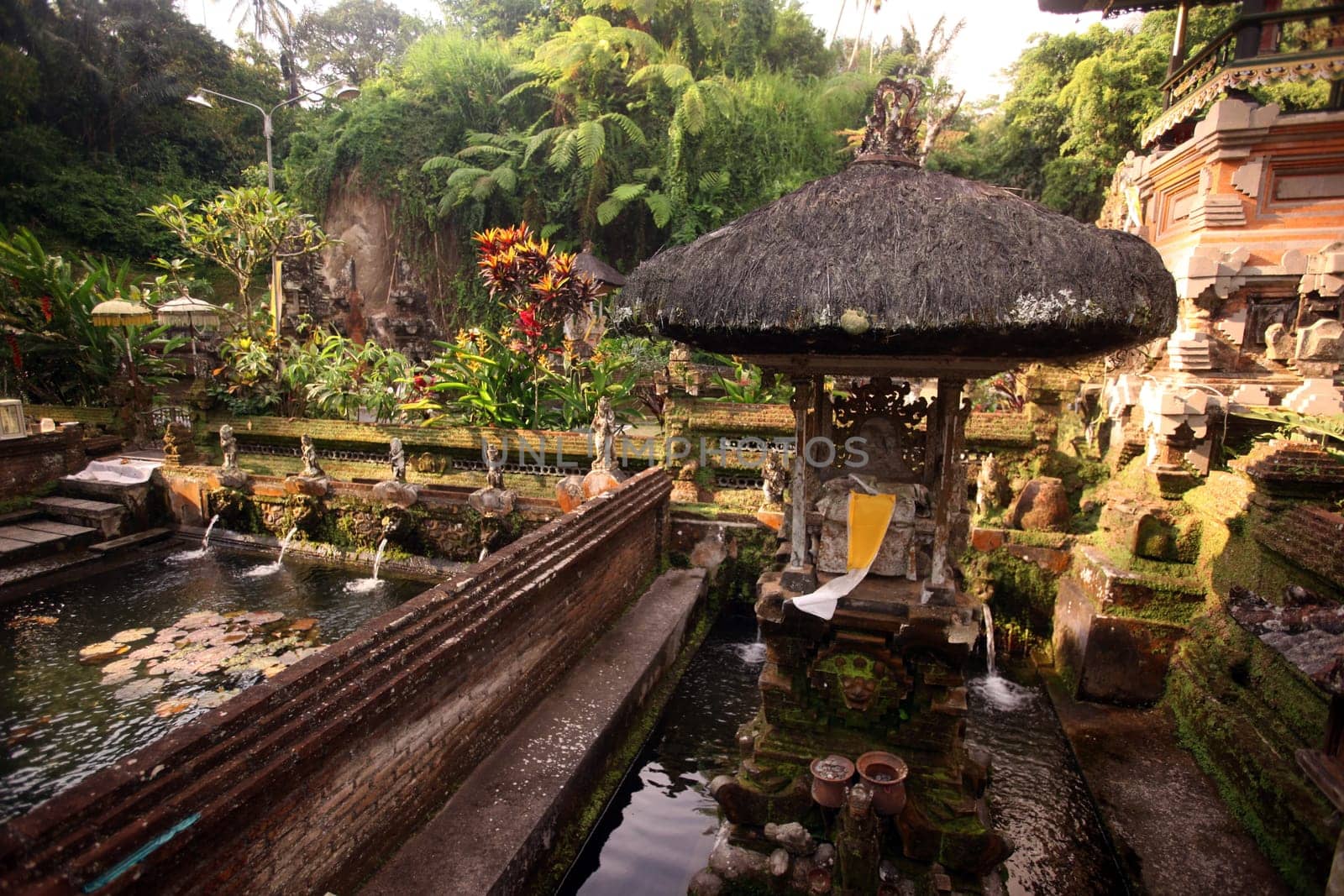 Asia,South East,Indonesia,Bali,Island,Ubud,Temple,Goa Gajah Temple,(Urs Flueeler)