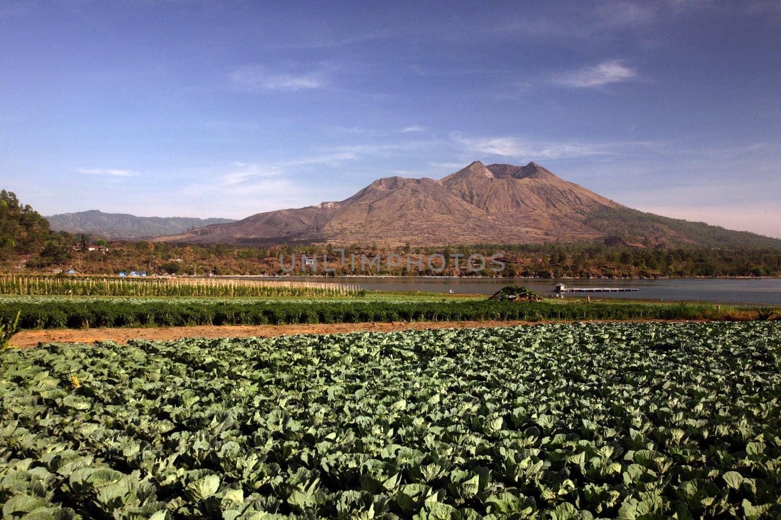 Asia,South East,Indonesia,Bali,Island,BaturSee,Lake,Lake,Gunung Batur,Mount Batur,Volcano,Crater Lake,Landscape,Kedisan,Agriculture,(Urs Flueeler)