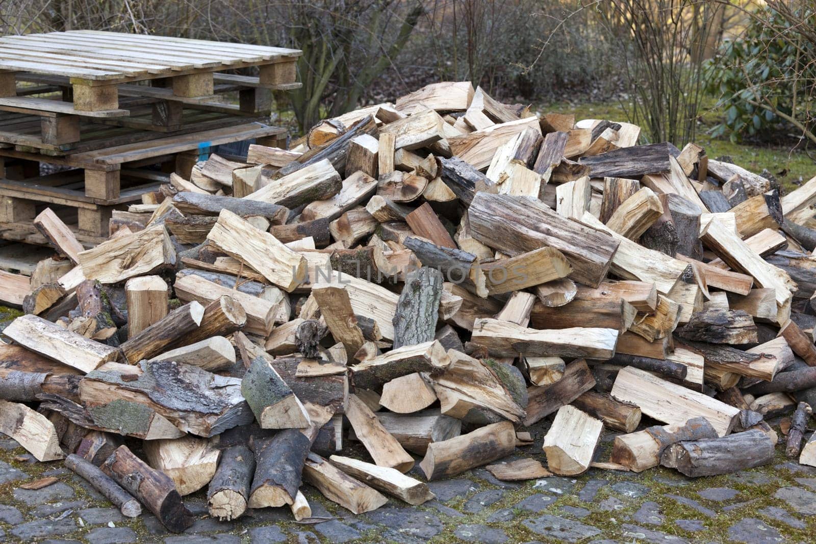 Firewood for the fireplace