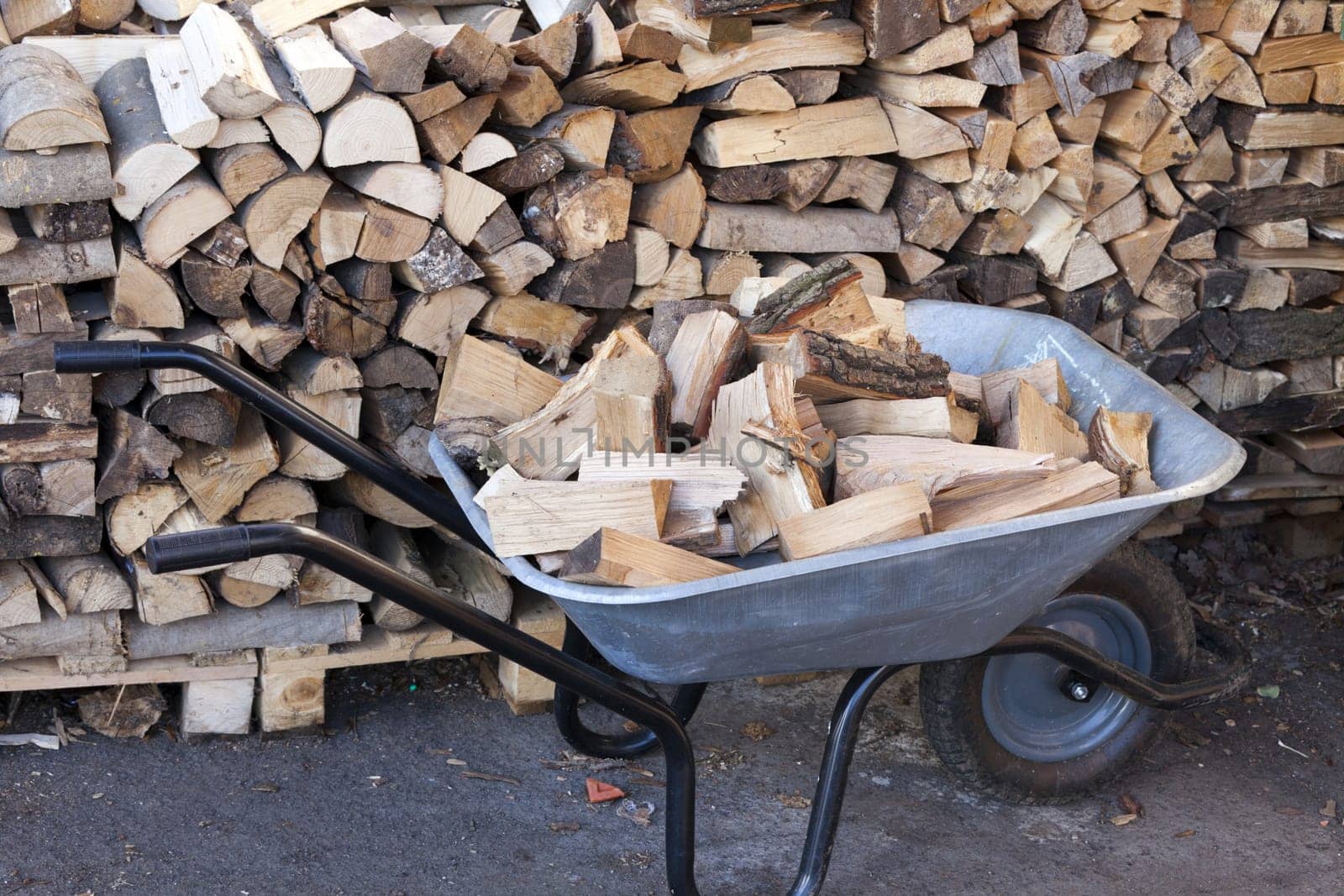 Stack of firewood and logs in the wheelbarrow