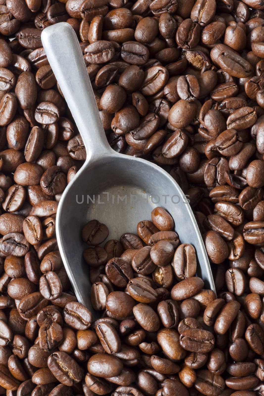 Coffee shovel lies between many coffee beans