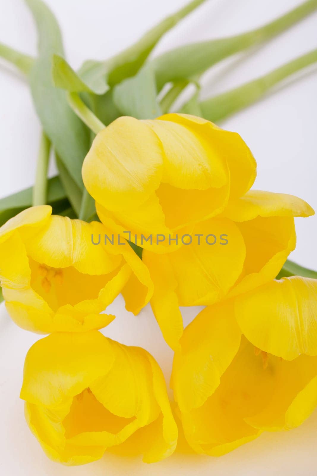 Flower bouquets of yellow tulips for Easter close up isolated on white background