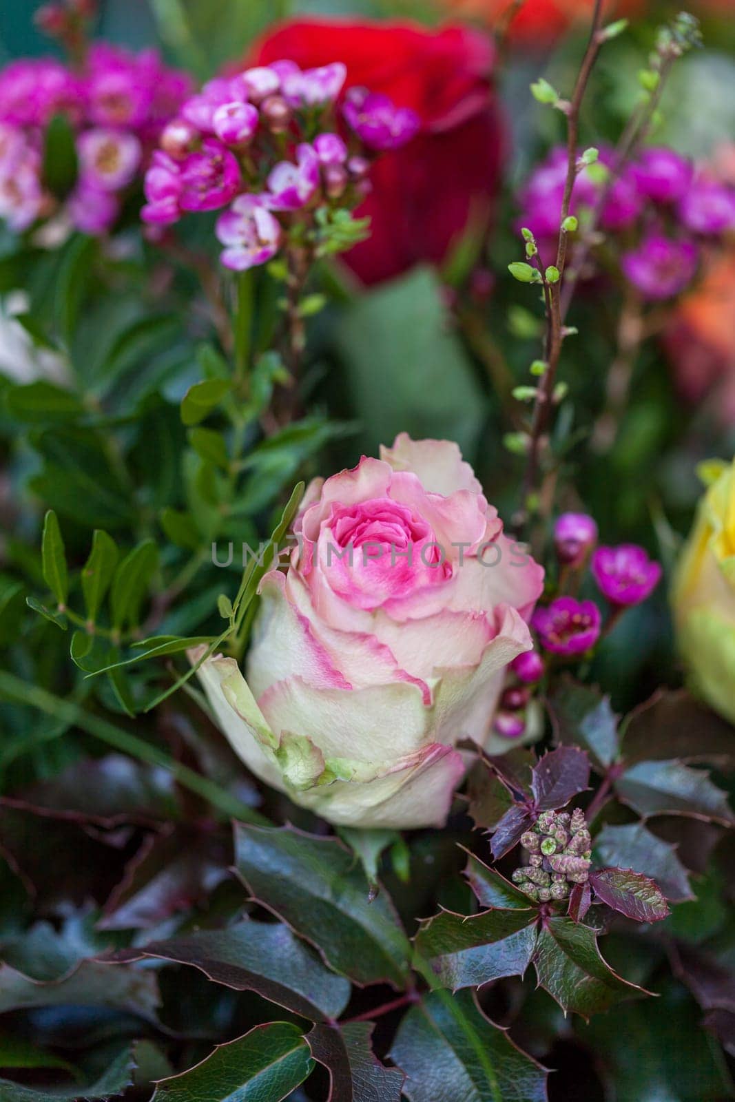 Colorful mixed flowers bouquet with various flowers for Valentine's Day and Mother's Day