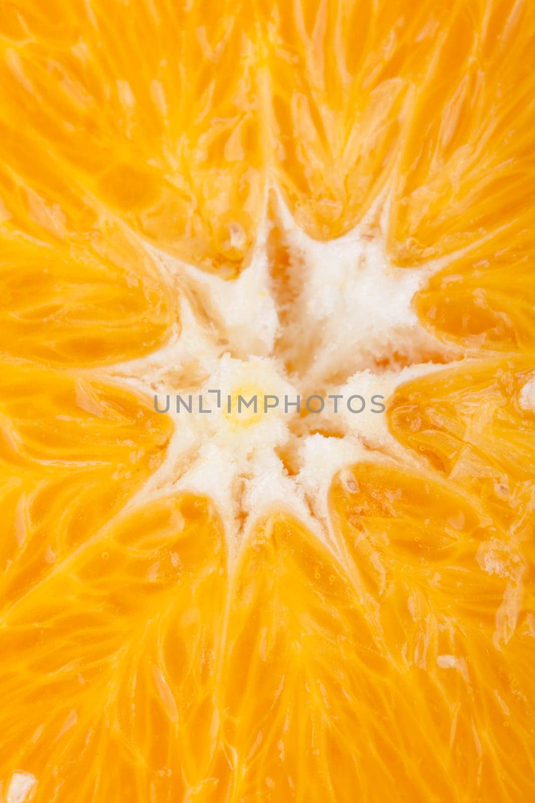 fresh ripe orange citrus fruit southern fruit healthy fruit fruit vitamins isolated against wessem background