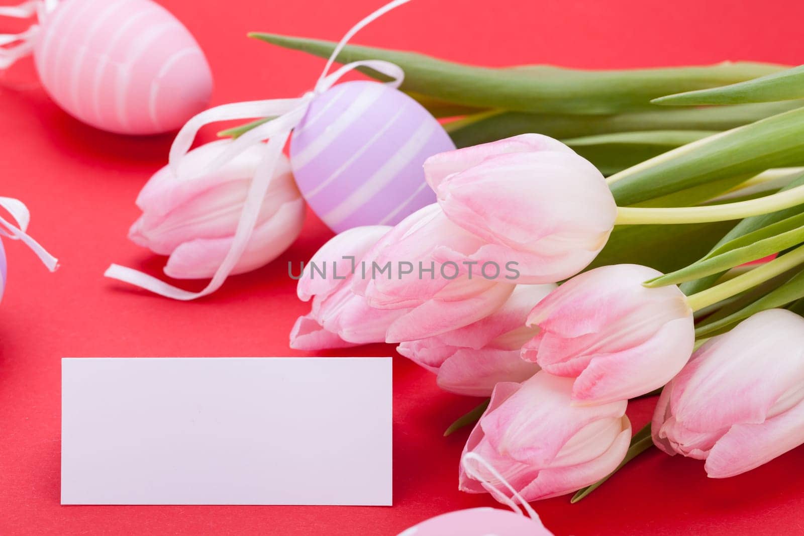 pink tulips decorated with easter eggs as a close-up with text space on a red background