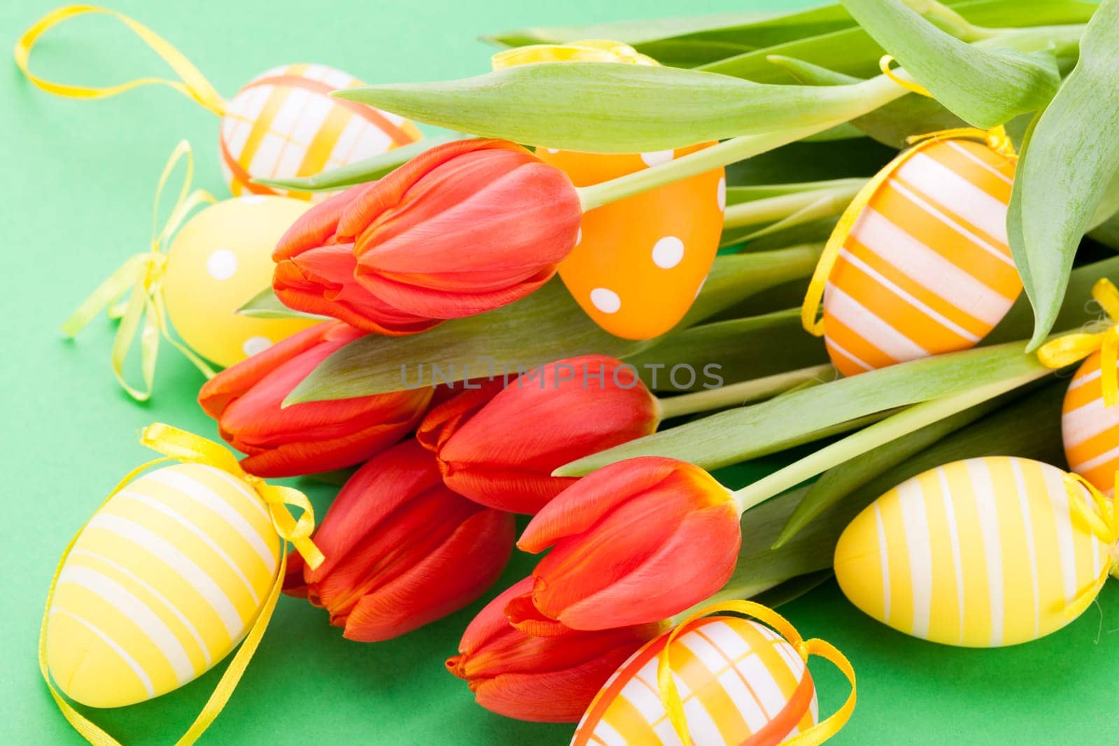 Colourful yellow and red Tulip with Easter eggs decorated at Easter with text space on green background