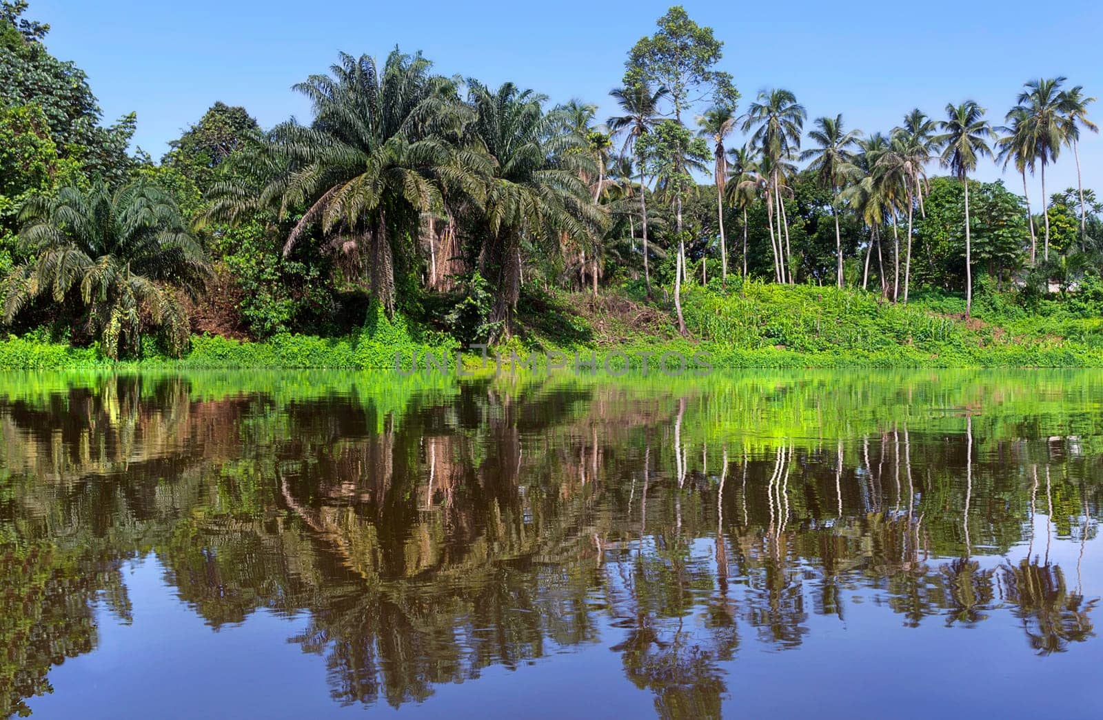 Scenery at lobé