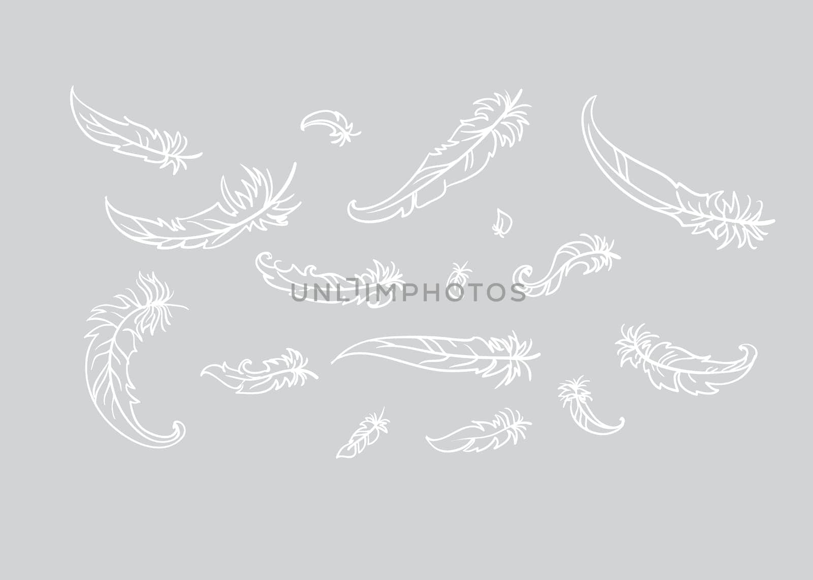 vector illustration of feather