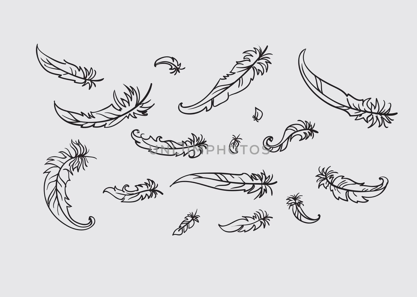 vector illustration of feather