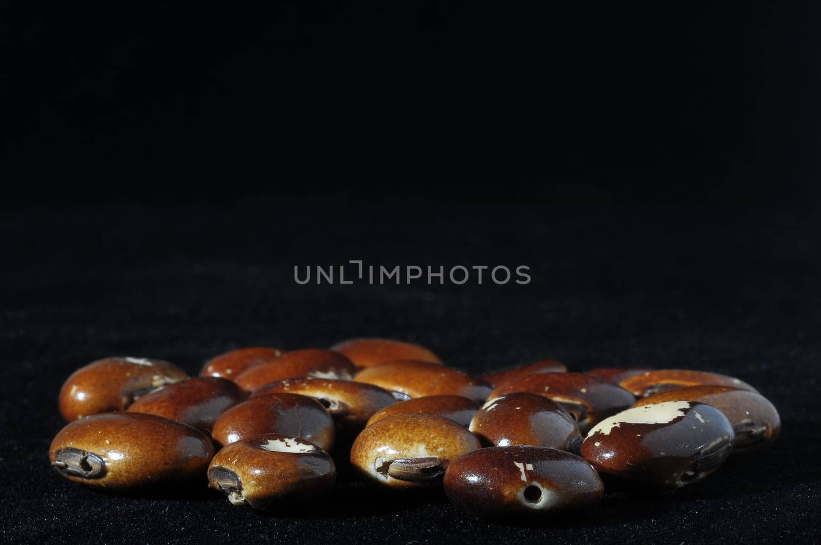 Colored Round Seeds Ready to make Handmade Jewelry