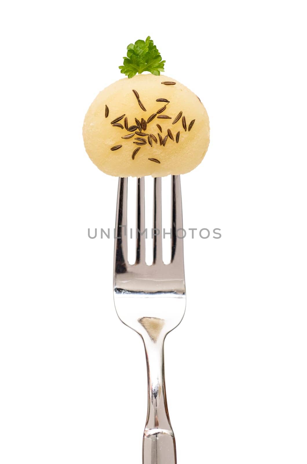 Freeing Harz cheese with cumin on a fork