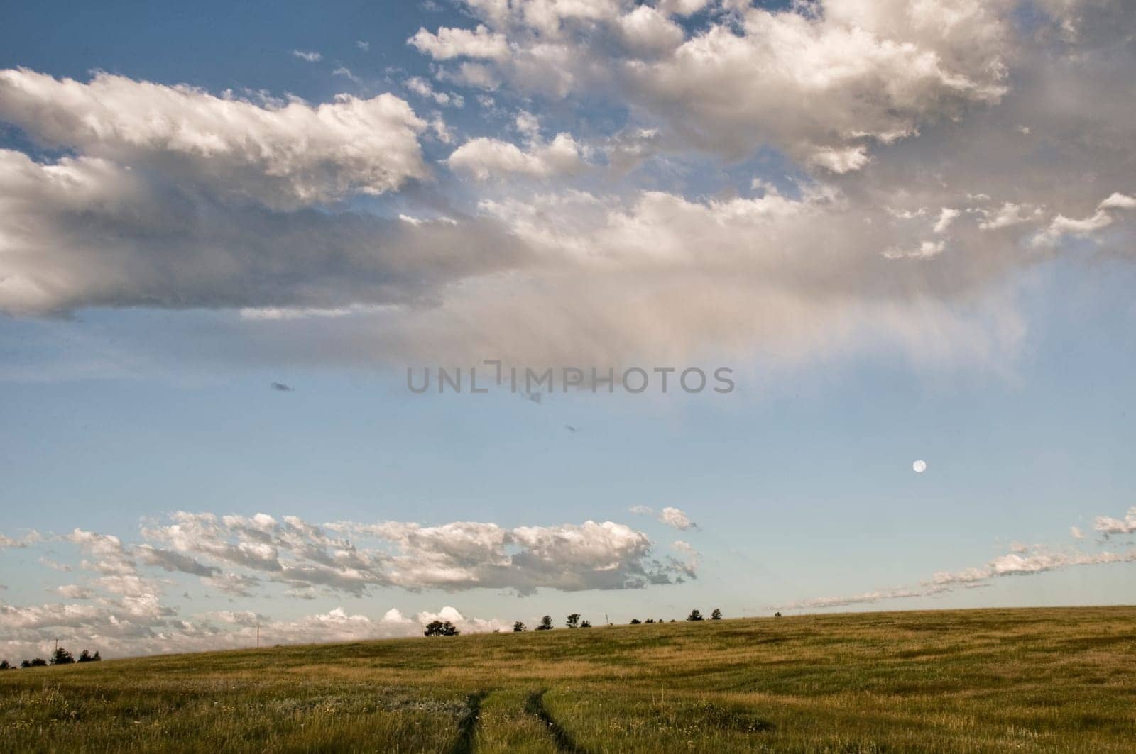 shutterstock,dreamtime,fotolia,istock