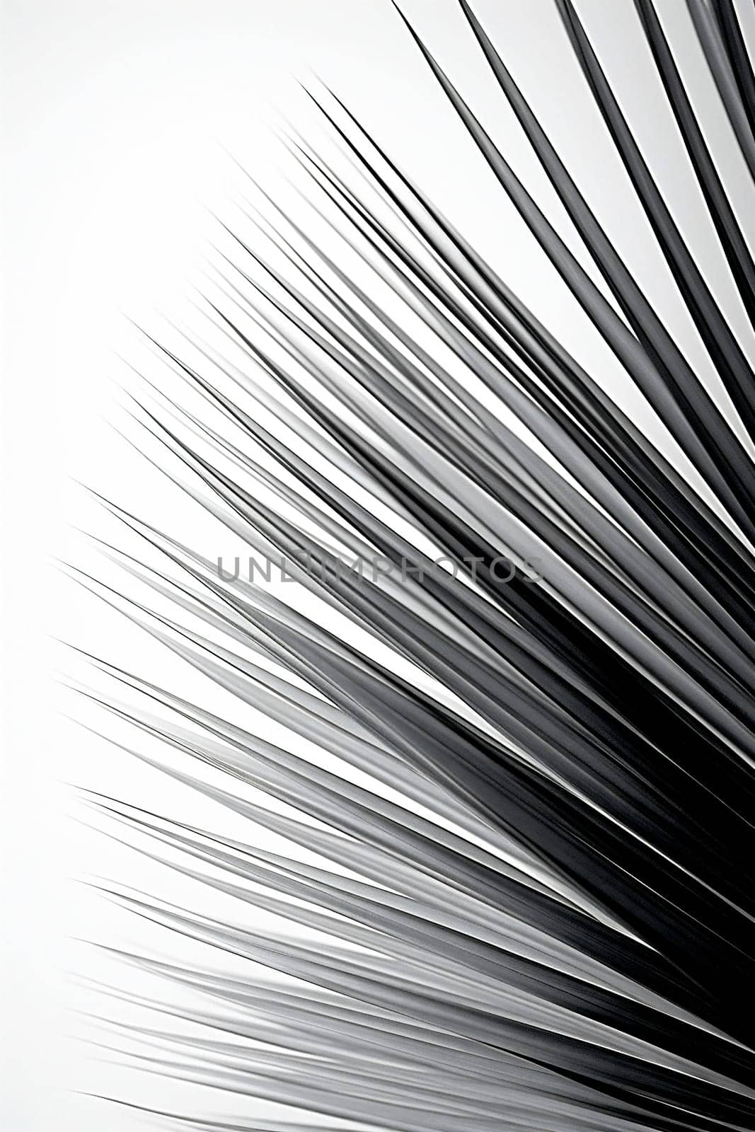 Modern wallpaper monochrome white design black lines textured creative light art background graphic geometric stripe abstract pattern shape decorative element backdrop illustration