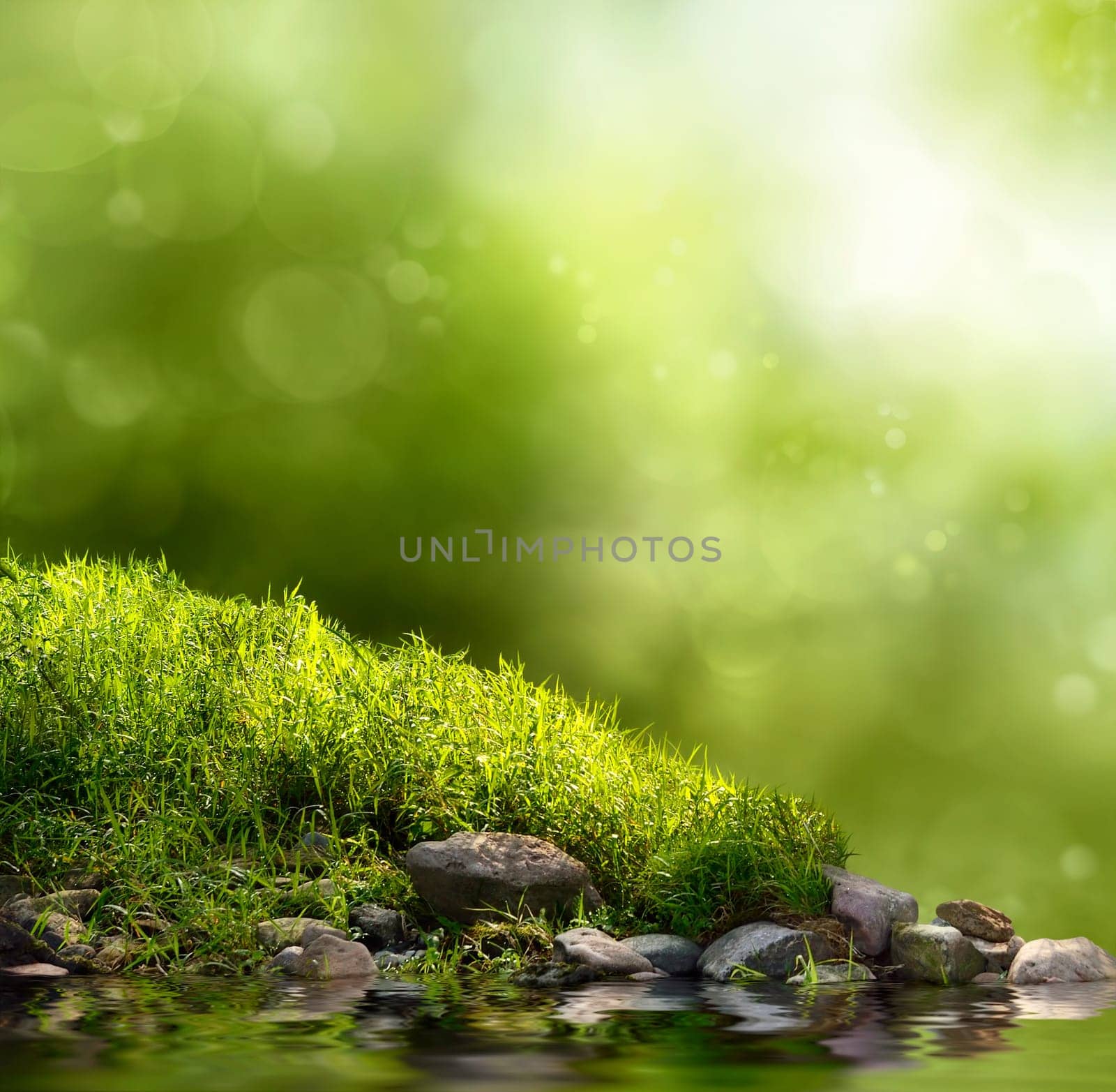 Green background with grass,water,trees and light effects