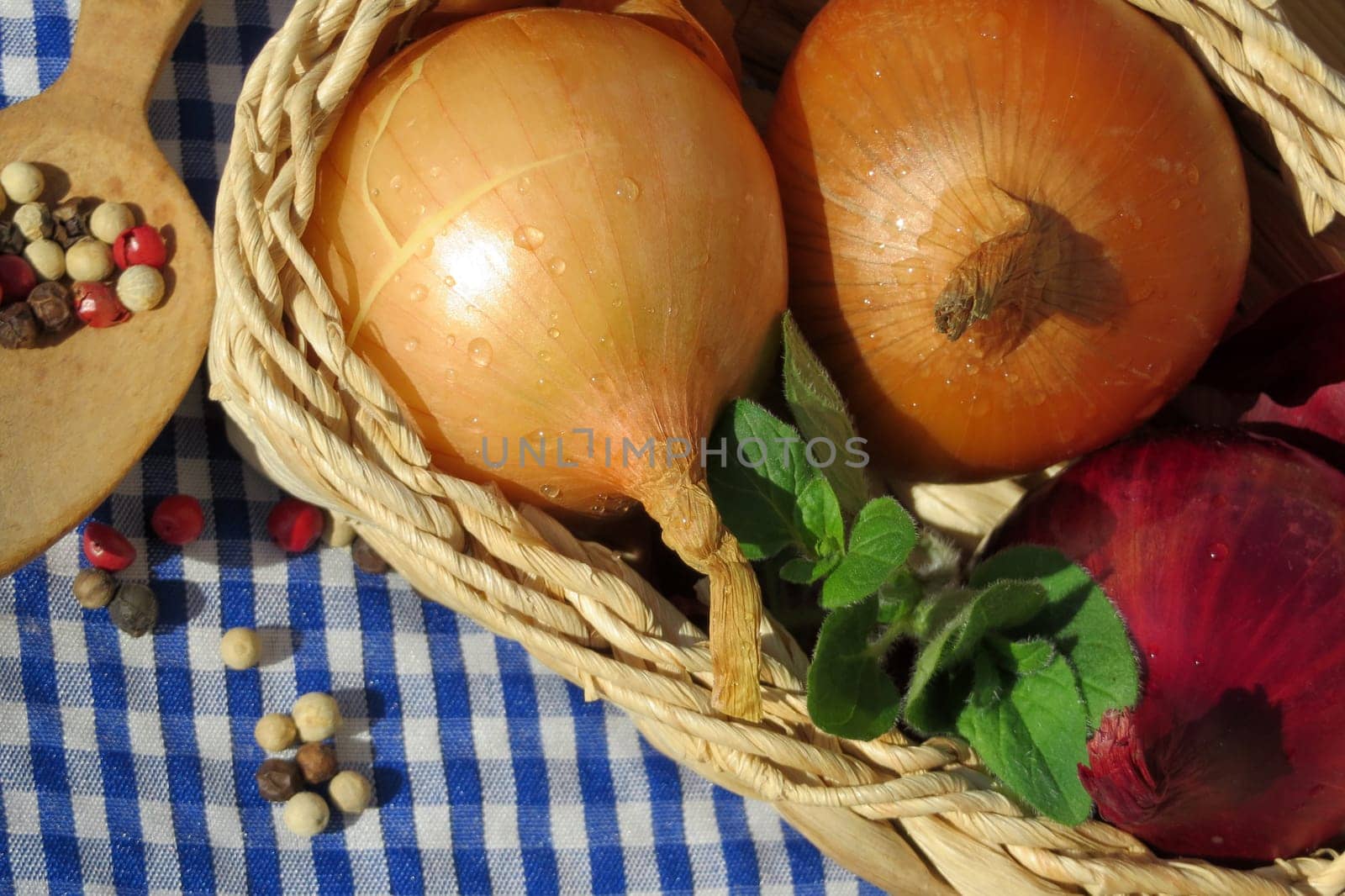 Kitchen onion - Allium cepa