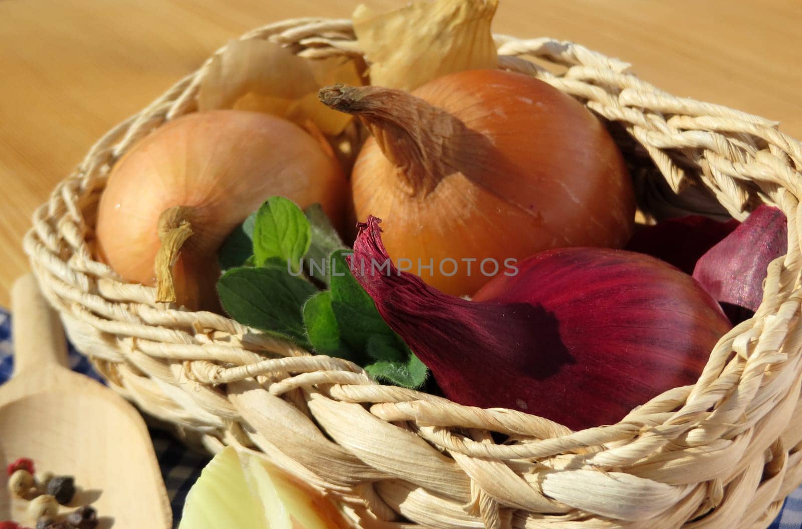 Kitchen onion - Allium cepa