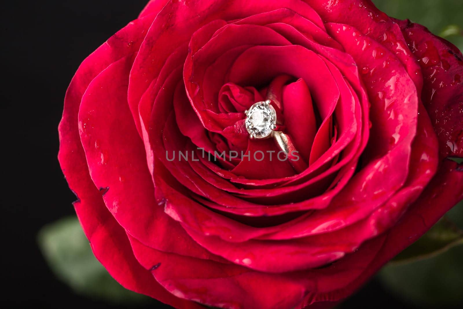 The perfect Valentine's Day gift, an engagement ring on a red rose