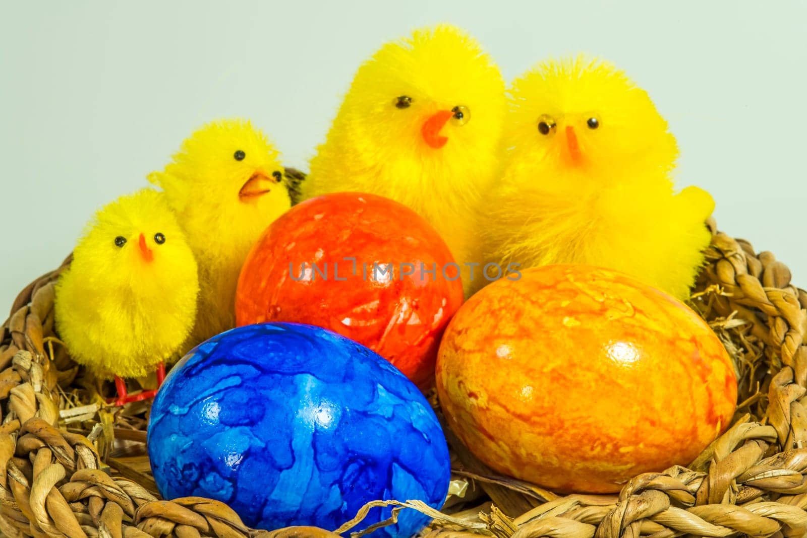 Easter nest with eggs and chicks
