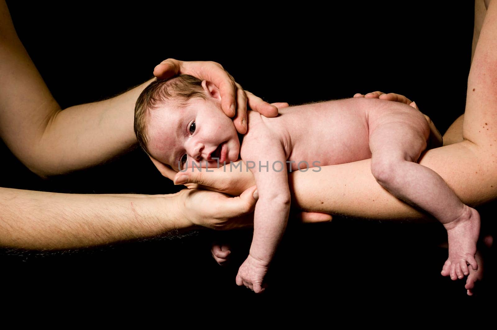 A little newborn baby is carried on the mother's hand and behaved by father's skins and looks contented,exposed against a black background.