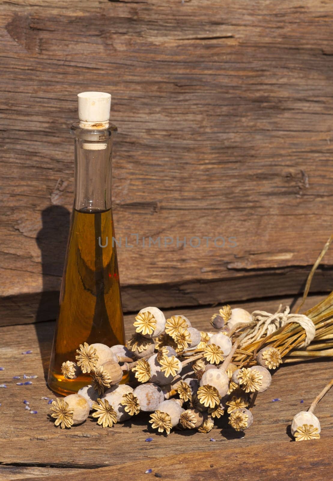 Dried poppy pods and poppy oil