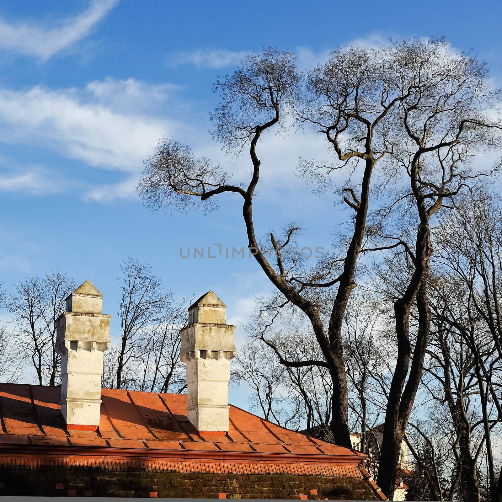 Baroque chimneys at Eisenstadt Castle
