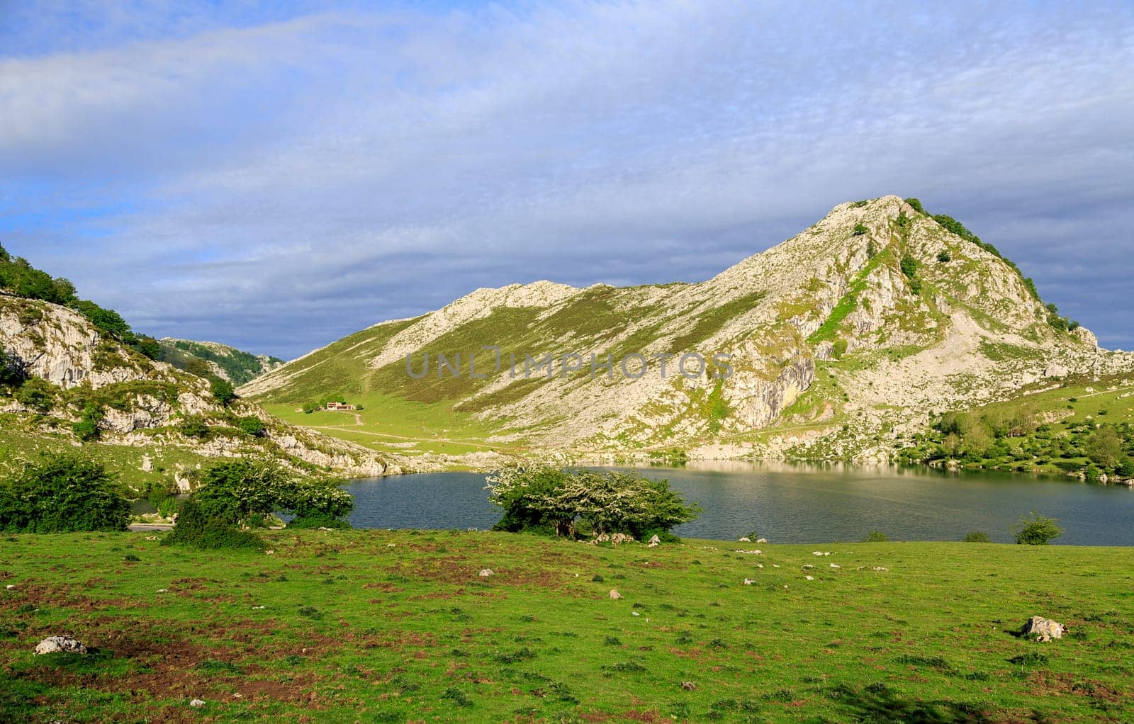 Fantastic lake Enol, one of the famous lakes of Covadonga, Asturias , Spain