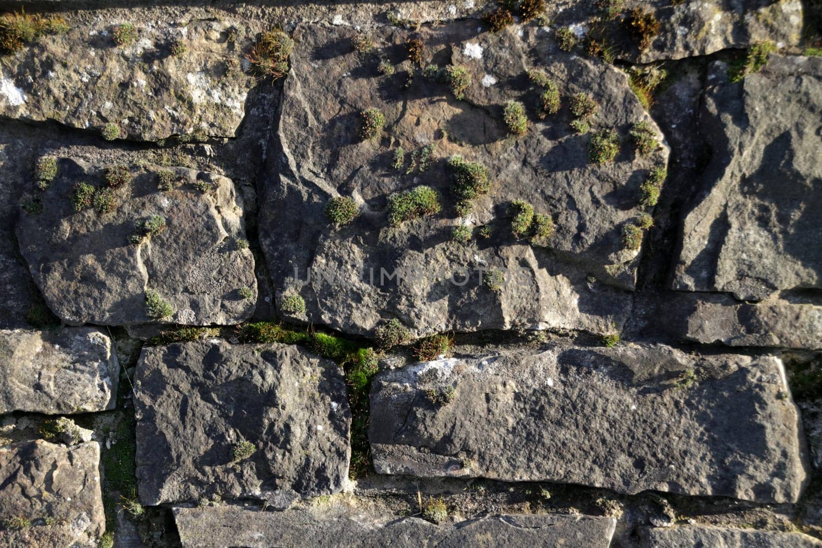 Quarry stone wall
