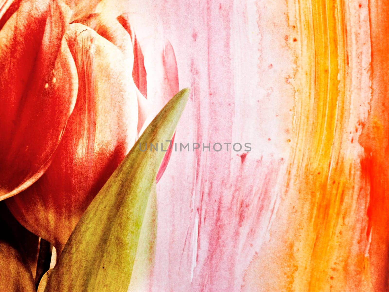 Red tulips over grunge painted background