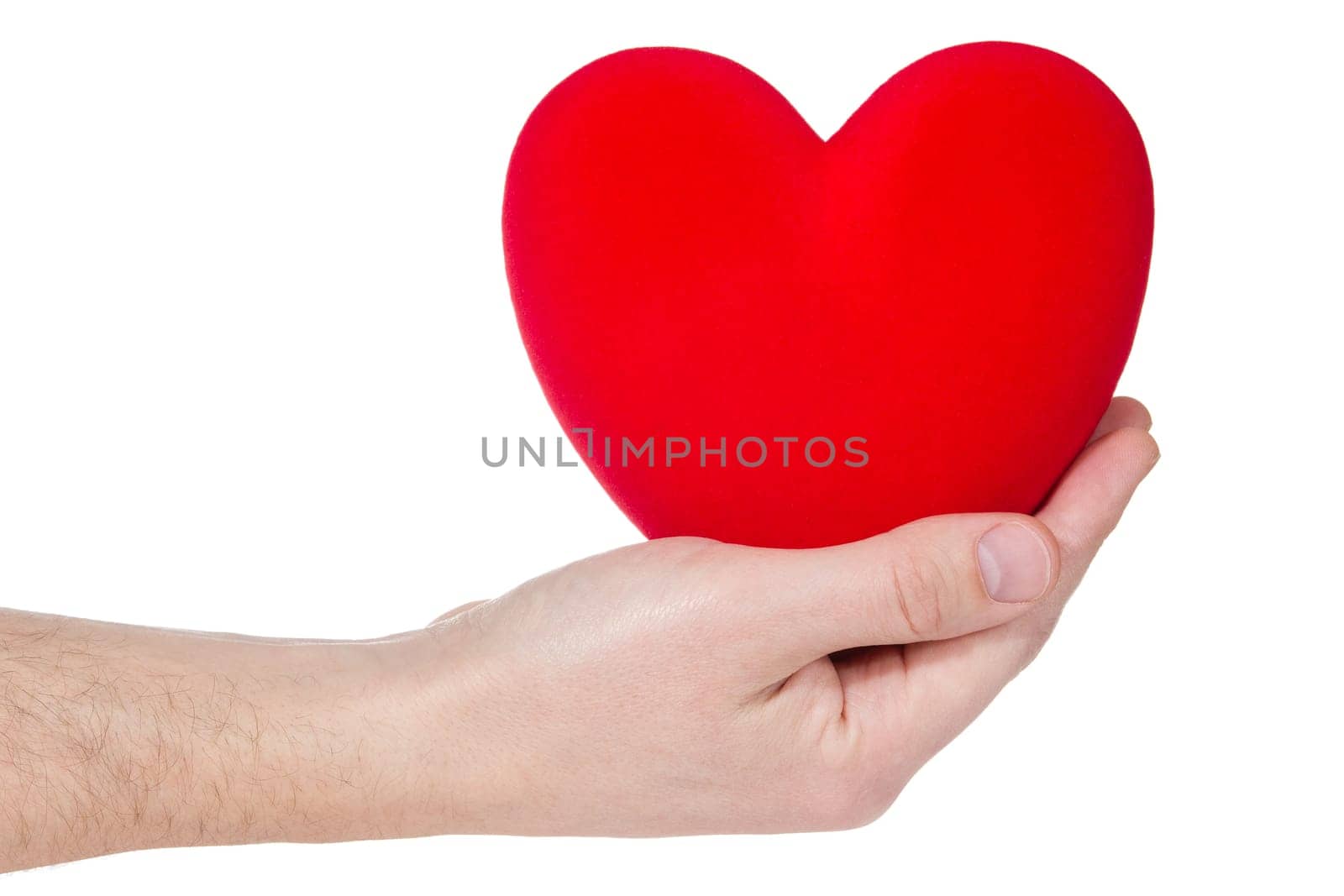 Health insurance or love concept . Heart in hand isolated on white background