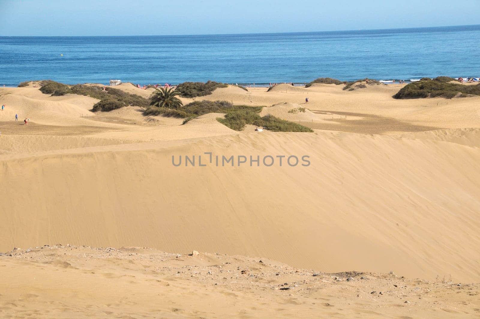 African European Sand Dune Desert Landscape in Gran Canaria Island Spain
