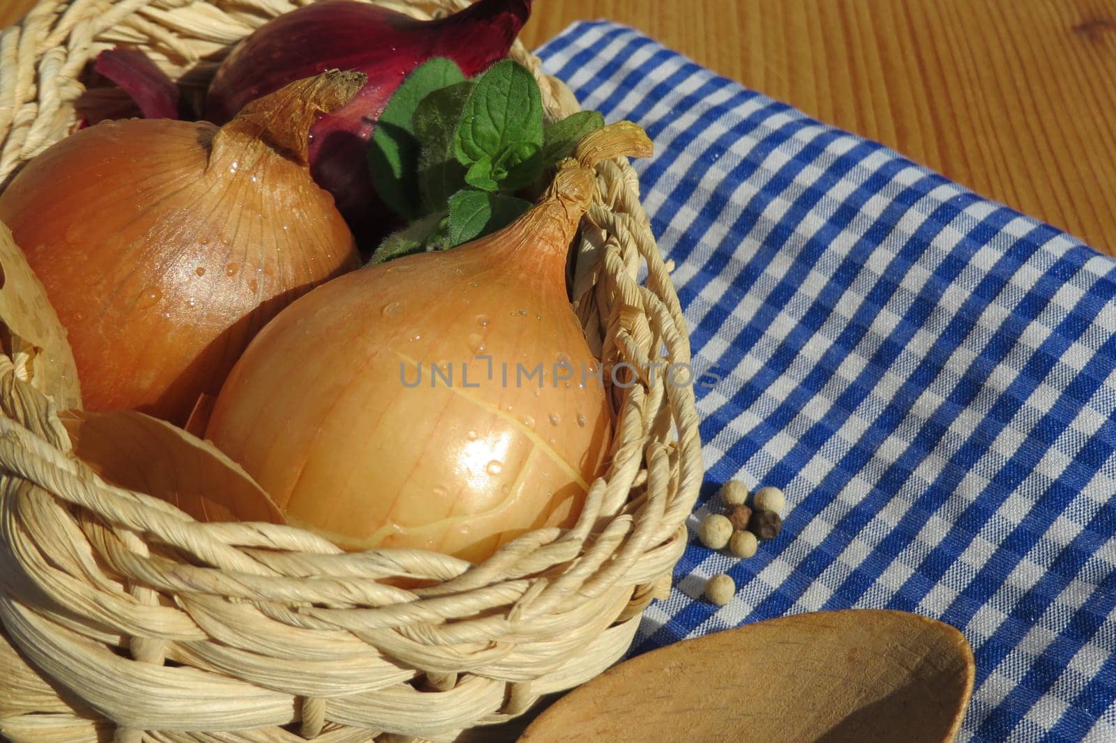Kitchen onion - Allium cepa