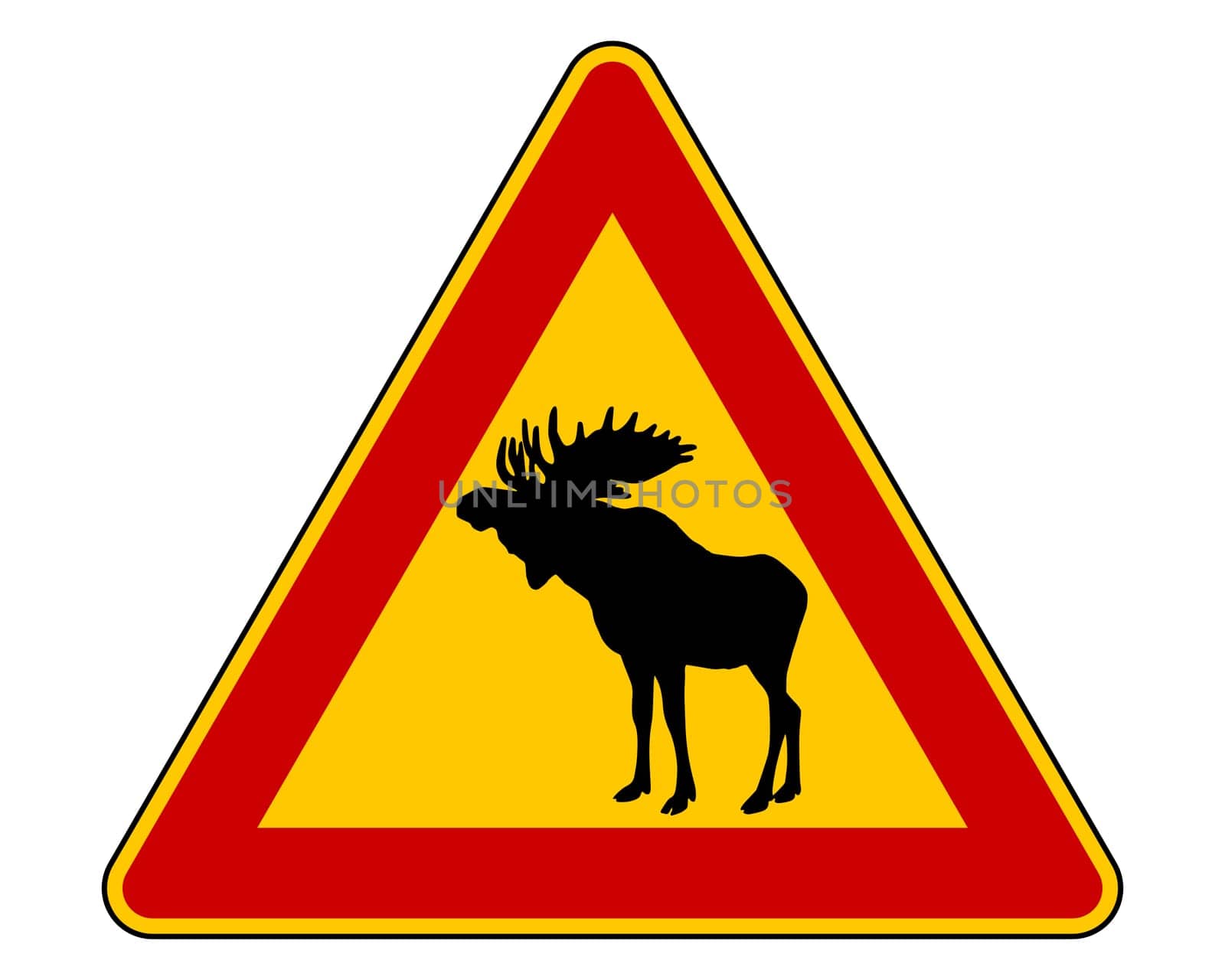 Attention moose